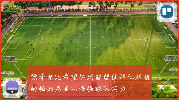 德泽尔比希望热刺能留住拜仁租借的帕利尼亚以增强球队实力