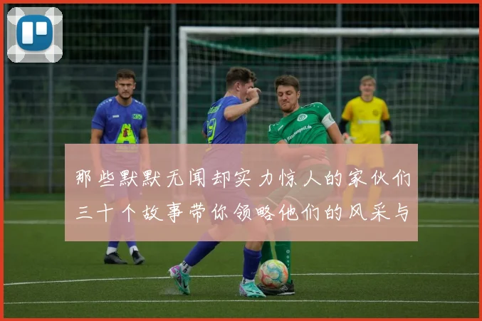 那些默默无闻却实力惊人的家伙们三十个故事带你领略他们的风采与传奇